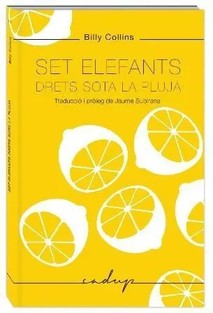 Set Elefants Drets Sota la Pluja