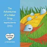 The Adventure Of a Water Drop