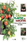 COMO CULTIVAR PLANTAS EN MACETAS