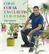 COMO CUIDAR LAS PLANTAS DE INTERIOR