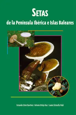 Setas de la Pinínsula Ibérica e Islas Baleares
