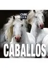 Caballos
