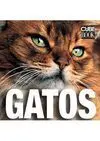 Gatos