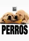 Perros