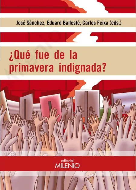 Que Fue de la Primavera Indignada?