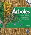 ÁRBOLES. DE LA SEMILLA AL IMPONENTE BOSQUE