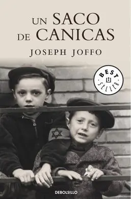 Un Saco de Canicas