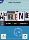 Aprende Gramatica y Vocabulario 1