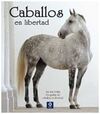 CABALLOS EN LIBERTAD