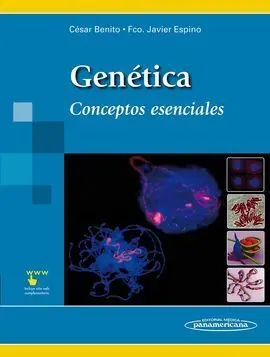 Genética
