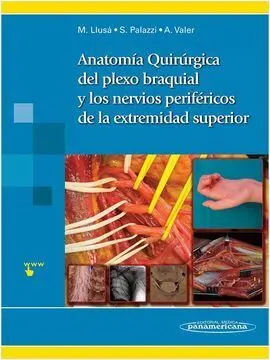 Anatomía Quirúrgica del Plexo Braquial y Nervios Periféricos de la Extremidad Superior