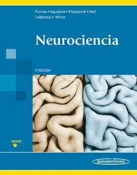 Neurociencia (5ª Ed. )