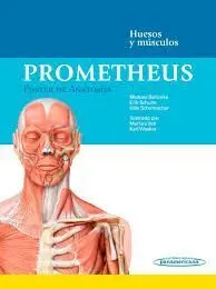 Prometheus. Póster de Anatomía