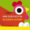 NOR EZKUTATU DA OILOAREN AZPIAN?