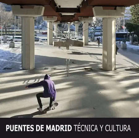 Puentes de Madrid. Técnica y Cultura