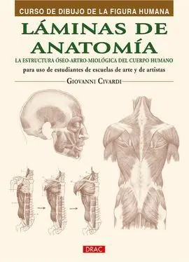 Láminas de Anatomía