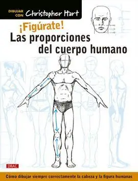 ¡Figúrate! las Proporciones del Cuerpo Humano