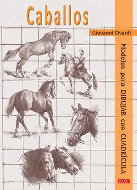 Caballos. Modelos para Dibujar con Cuadrícula