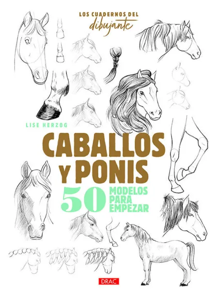 Caballos y Ponis / 50 Modelos para Empezar