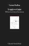 LA AGUJA EN EL PAJAR