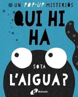 Qui Hi Ha Sota L ' Aigua?