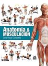 ANATOMÍA & MUSCULACIÓN