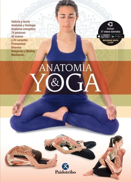 Anatomía y Yoga