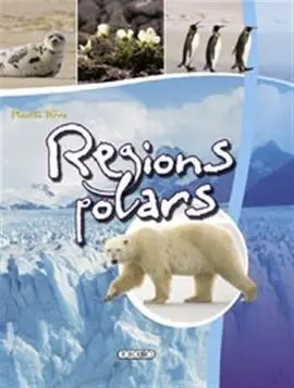 Regions Polars