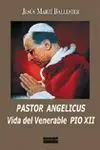 Pastor Angelicus
