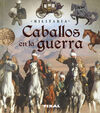 CABALLOS EN LA GUERRA