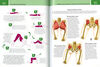 YOGA. ANATOMIA Y POSTURAS