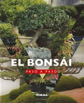 El Bonsai Paso a Paso