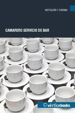 Camarero Servicio de Bar