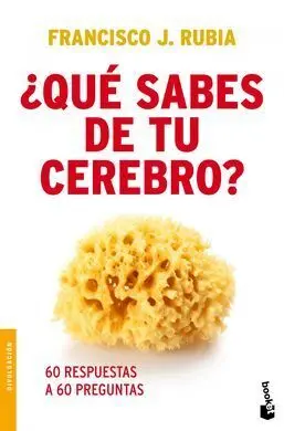 ¿Qué Sabes de tu Cerebro?