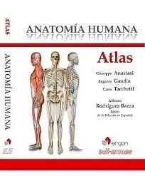 Atlas Anatomía Humana