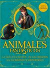 ANIMALES FANTASTICOS - LOS CRIMENES DE GRINDELWALD