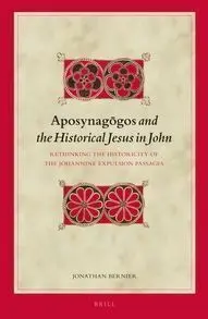 Biblical Interpretation Series Vol. 122 (Aposynagogos... )