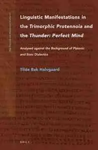 Nag Hammadi And Manichaean Studies, Vol. 91