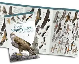 Ocells Rapinyaires de Catalunya