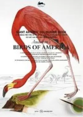Pep Colouring Book Xl Birds Of America