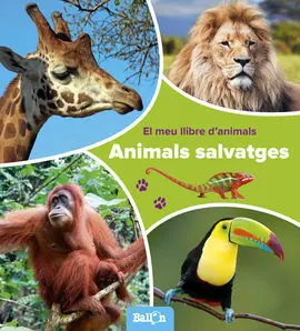 Animals Salvatges - el Meu Llibre D'animals