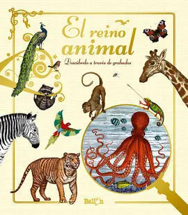 El Reino Animal