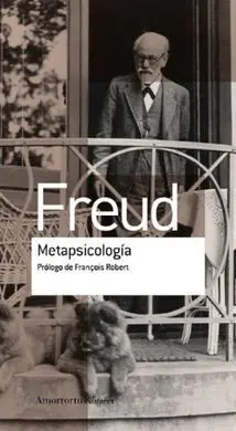 Metapsicologia