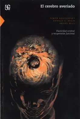 El Cerebro Averiado