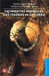 YACIMIENTOS MINERALES: LOS TESOROS DE LA TIERRA