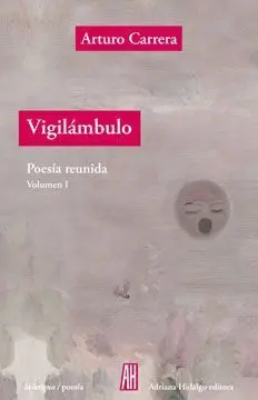Vigilámbulo
