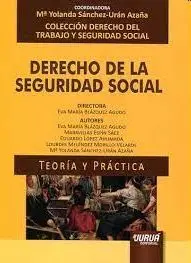 Derecho de la Seguridad Social 2022