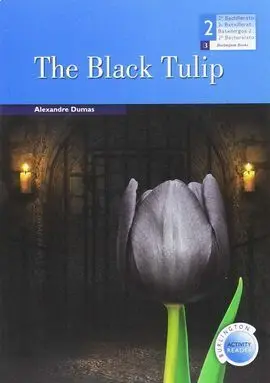 The Black Tulip 2ºnb Bar