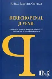 Derecho Penal Juvenil. Un Estudio Sobre la Transformación de los Sistemas de Jus