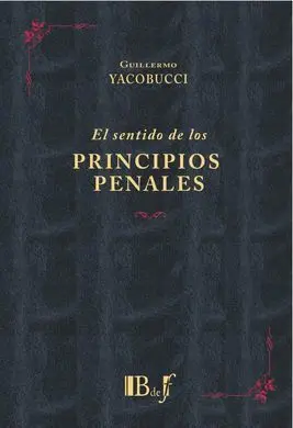 El Sentido de los Principios Penales